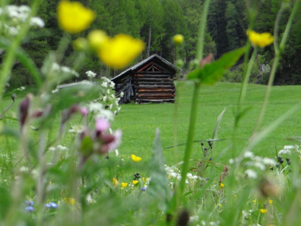 Hotel Silvretta Serfaus Exterior foto